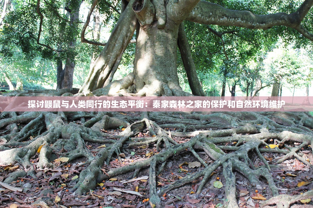 天下彩(9944cc)天下彩图文资料|国产化作答解释落实_豪华款.1.412