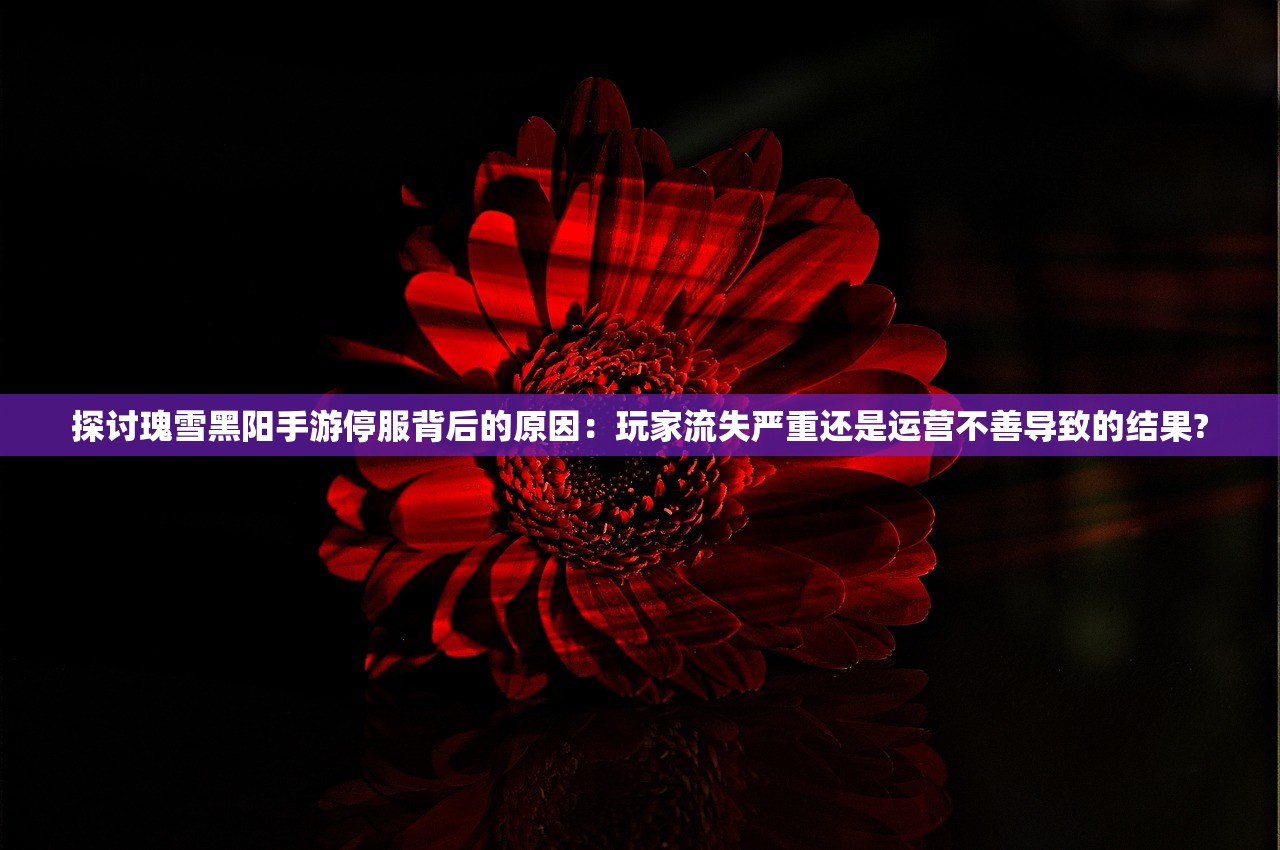 澳门精准六肖期期准网站特色|未来科技新突破探讨_初学版.2.923