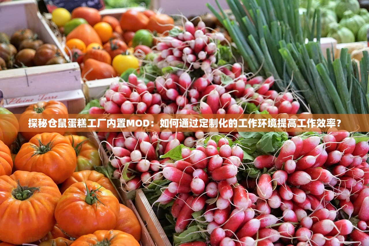 新澳精准正版资料免费|前沿研究解释落实_E版.8.17