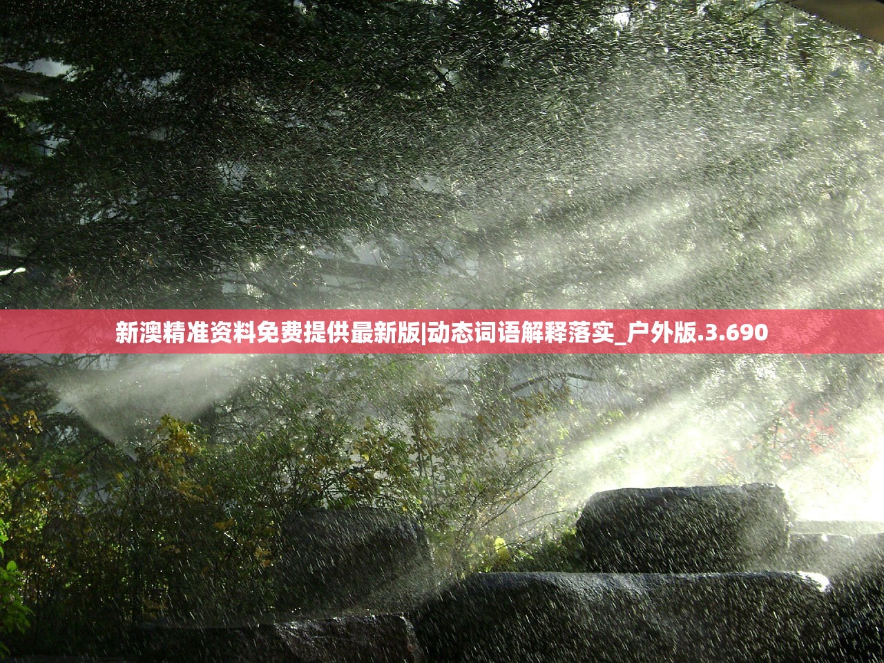 新澳精准资料免费提供最新版|动态词语解释落实_户外版.3.690